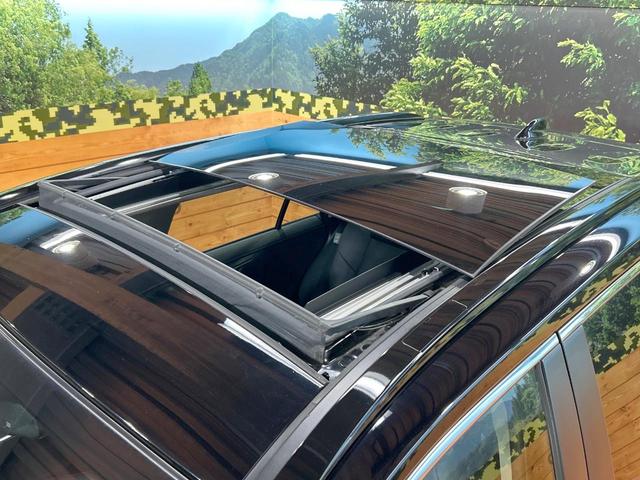 ＲＡＶ４ Ｇ　禁煙車　ムーンルーフ　全周囲カメラ　１０型ディスプレイオーディオ　ルーフレール　トヨタセーフティセンス　クリアランスソナー　電動リアゲート　レーダークルーズ　ＬＥＤヘッドライト　メモリーパワーシート（63枚目）