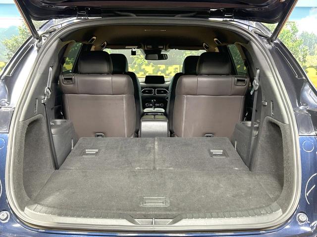 ＣＸ－８ ＸＤ　Ｌパッケージ　禁煙車　全周囲カメラ　ＢＯＳＥサウンド　マツコネナビ　ブラインドスポットモニター　レーダークルーズ　ＬＥＤヘッド＆フォグ　シートヒーター　ＥＴＣ　ヘッドアップディスプレイ　ルーフレール（68枚目）