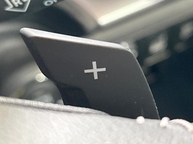 フォレスター ツーリング 禁煙車 アイサイトセイフティプラス運転支援 シートヒーター アイサイトコアテクノロジー 純正ナビ バックカメラ LEDヘッド&フォグ ETC サイドカメラ 電動パーキング オートエアコン(31枚目)