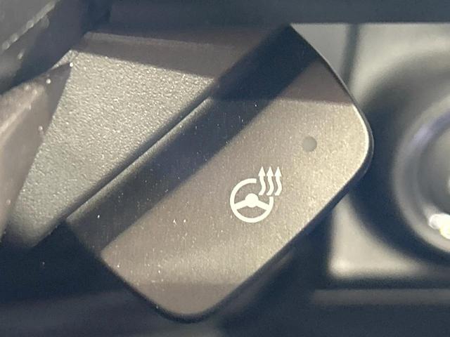 フォレスター ツーリング 禁煙車 アイサイトセイフティプラス運転支援 シートヒーター アイサイトコアテクノロジー 純正ナビ バックカメラ LEDヘッド&フォグ ETC サイドカメラ 電動パーキング オートエアコン(35枚目)