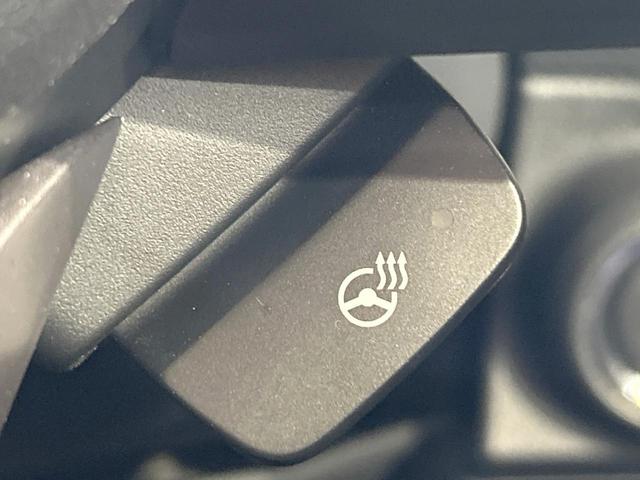 フォレスター Ｘ－エディション　禁煙　ＤＩＡＴＯＮＥナビ　電動リアゲート　スマートビューミラー　ブラインドスポットモニター　アイドリングストップ　ＥＴＣ　パワーシート　ルーフレール　シートヒーター　ステアリングヒーター　パドルシフト（34枚目）