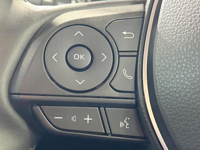 ＲＡＶ４ ハイブリッドアドベンチャー　オフロードパッケージＩＩ　禁煙車　全周囲カメラ　１０型ディスプレイオーディオ　ブラインドスポットモニター　レーダークルーズ　オートハイビーム　ルーフレール　シートベンチレーション　電動リアゲート　ＥＴＣ　ＬＥＤヘッド＆フォグ（32枚目）