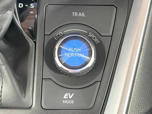 ＲＡＶ４ ハイブリッドアドベンチャー　オフロードパッケージＩＩ　禁煙車　全周囲カメラ　１０型ディスプレイオーディオ　ブラインドスポットモニター　レーダークルーズ　オートハイビーム　ルーフレール　シートベンチレーション　電動リアゲート　ＥＴＣ　ＬＥＤヘッド＆フォグ（40枚目）