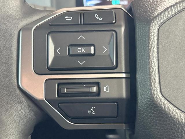 ランドクルーザー250 VX 禁煙車 サンルーフ JBLサウンド 全周囲カメラ 丸目ヘッドライト 12型ナビ トヨタチームメイト クリアランスソナー レーンアシスト デジタルインナーミラー ルーフレール ETC2.0(25枚目)