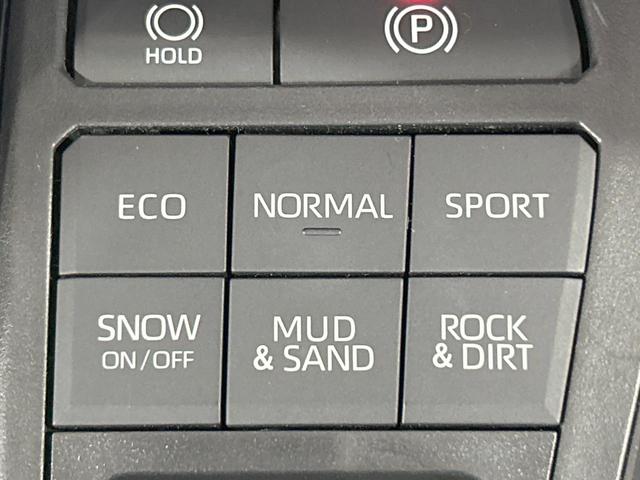 RAV4 G 禁煙 モデリスタエアロ 9型ディスプレイオーディオ 全周囲カメラ 電動リアゲート ブラインドスポットモニター デジタルインナーミラー シートヒーター ステアリングヒーター オートハイビーム ETC(42枚目)