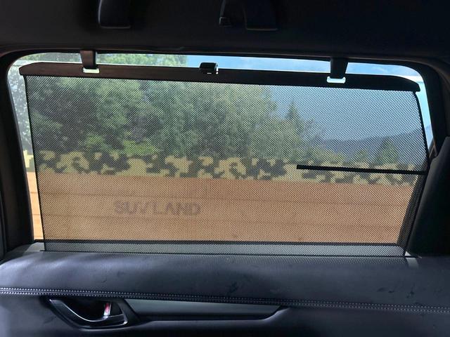 ＣＸ－８ ＸＤ　スマートエディション　禁煙車　１０型ナビ　全周囲カメラ　レーダークルーズ　シートヒーター　パワーシート　電動リアゲート　ＬＥＤヘッド　オートハイビーム　ブラインドスポットモニター　ヘッドアップディスプレイ　ＥＴＣ（31枚目）