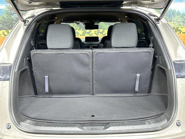 ＣＸ－８ ＸＤ　スマートエディション　禁煙車　１０型ナビ　全周囲カメラ　レーダークルーズ　シートヒーター　パワーシート　電動リアゲート　ＬＥＤヘッド　オートハイビーム　ブラインドスポットモニター　ヘッドアップディスプレイ　ＥＴＣ（68枚目）