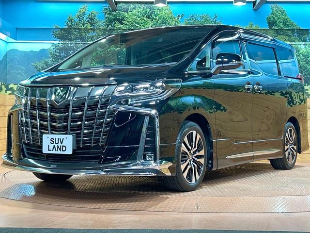 アルファード ２．５Ｓ　Ｃパッケージ　禁煙車　サンルーフ　モデリスタ　後席モニター　１０型ナビ　ＪＢＬサウンド　全周囲カメラ　両側パワスラ　レーダークルーズ　シートベンチレーション　デジタルミラー　ＣＤ＆ＤＶＤ　ブラインドスポットモニター（39枚目）