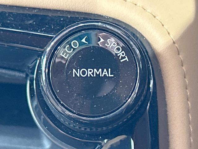 ＮＸ ＮＸ３５０ｈ　バージョンＬ　禁煙車　サンルーフ　純正１４型ナビ　全周囲カメラ　ヘーゼル内装　プリクラッシュセーフティ　ブラインドスポットモニター　ヘッドアップディスプレイ　Ｂｌｕｅｔｏｏｔｈ再生　ＬＥＤヘッドライト　ＥＴＣ２．０（51枚目）