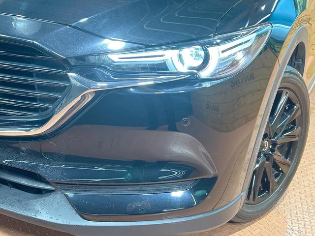 ＣＸ－８ ２５Ｓ　ブラックトーンエディション　禁煙車　ターボ　７人乗り　純正ＳＤナビ　全周囲カメラ　衝突被害軽減システム　レーダークルーズ　電動リアゲート　ハーフレザーシート　全席シートヒーター　ドラレコ　コーナーセンサー　スマートキー（13枚目）