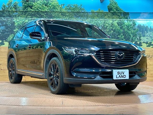 ＣＸ－８ ２５Ｓ　ブラックトーンエディション　禁煙車　ターボ　７人乗り　純正ＳＤナビ　全周囲カメラ　衝突被害軽減システム　レーダークルーズ　電動リアゲート　ハーフレザーシート　全席シートヒーター　ドラレコ　コーナーセンサー　スマートキー（17枚目）