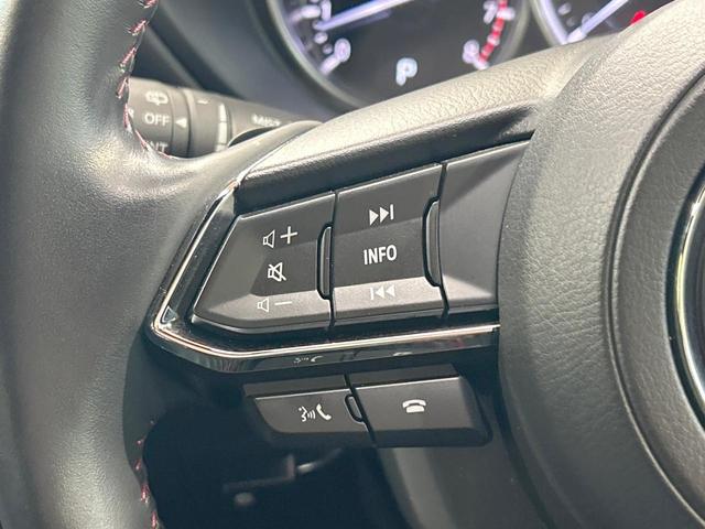 ＣＸ－８ ２５Ｓ　ブラックトーンエディション　禁煙車　ターボ　７人乗り　純正ＳＤナビ　全周囲カメラ　衝突被害軽減システム　レーダークルーズ　電動リアゲート　ハーフレザーシート　全席シートヒーター　ドラレコ　コーナーセンサー　スマートキー（46枚目）