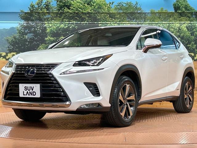 ＮＸ ＮＸ３００ｈ　Ｉパッケージ　禁煙車　全周囲カメラ　メーカーナビ　ブラインドスポットモニター　ヘッドアップディスプレイ　クリアランスソナー　レーダークルーズ　電動リアゲート　ＬＥＤヘッドライト　純正１８インチＡＷ　１００Ｖ電源（30枚目）
