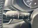 ２０Ｓ　プロアクティブ　禁煙車　１０型ナビ　フルセグ　全周囲カメラ　スマートシティブレーキ　ブラインドスポット　レーダークルーズ　パワーバックドア　メモリ付きパワーシートオートハイビーム　ＬＥＤヘッド　純正１７インチＡＷ（45枚目）