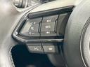 ２５Ｓ　Ｌパッケージ　禁煙車　全周囲カメラ　１０型ナビ　フルセグ　本革シート　ブラインドスポットモニター　電動リアゲート　クリアランスソナー　レーダークルーズ　ルーフレール　ＬＥＤヘッドライト　純正１９インチＡＷ　ＥＴＣ（68枚目）