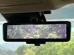 �ڥ���ƥꥸ����ȥ롼��ߥ顼�۸��ʤ��礭�ʲ�ʪ��Ʊ��ԤǸ�������ǧ���Ť餤���Ǥ�¿�������餬���Ƥ�����ξ�����α�����롼��ߥ顼���ɽ�������ꥢ�ʻ볦�Ǿ����γ�ǧ����ǽ�Ǥ��� 6