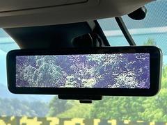 �ڥ���ƥꥸ����ȥ롼��ߥ顼�۸��ʤ��礭�ʲ�ʪ��Ʊ��ԤǸ�������ǧ���Ť餤���Ǥ�¿�������餬���Ƥ�����ξ�����α�����롼��ߥ顼���ɽ�������ꥢ�ʻ볦�Ǿ����γ�ǧ����ǽ�Ǥ��� 3