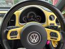 VOLKSWAGEN THE BEETLE