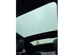 ӥ饹 ӣ䡡ޥå󥰡硼եУˣǡ롼 0520066A30250331W001 3