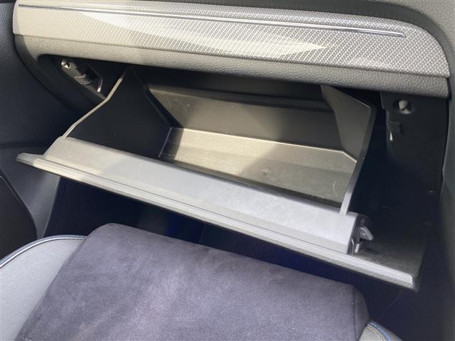 レヴォーグ 2.0GT-Sアイサイト ETC、電動シート、パナソニックナビ(28枚目)