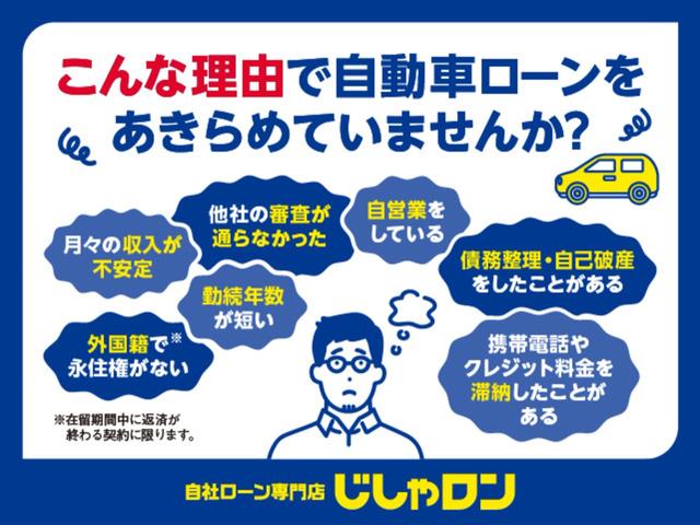 レヴォーグ 2.0GT-Sアイサイト ETC、電動シート、パナソニックナビ(49枚目)