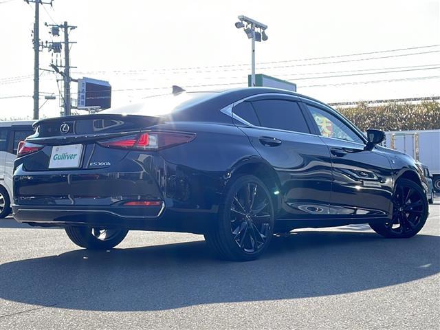 ES ES300h Fスポーツ サンルーフ/本革シート/純正ナビ/フルセグ/TVキャンセラー/バックカメラ/Bluetooth/衝突被害軽減ブレーキ/レーンキープアシスト/レーダークルーズコントロール(34枚目)