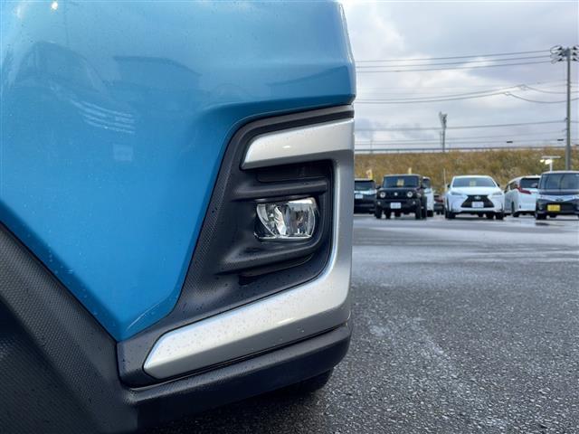 XV アドバンス 4WD/衝突軽減ブレーキ/ブラインドスポットモニター/レーンキープアシスト/レーダークルーズコントロール/社外SDナビ/フルセグ/バックカメラ/ドライブレコーダー/ETC(37枚目)