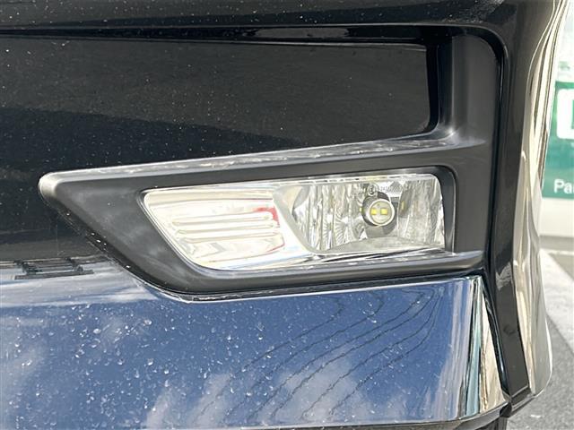 セレナ ハイウェイスター　Ｖセレクション　社外ナビ　地デジＴＶ　全方位モニター　両側パワースライドドア　プロパイロット　ＬＥＤヘッドライト　純正１６インチＡＷ　ＣＤ　ＤＶＤ　Ｂｌｕｅｔｏｏｔｈ　パーキングアシスト（29枚目）