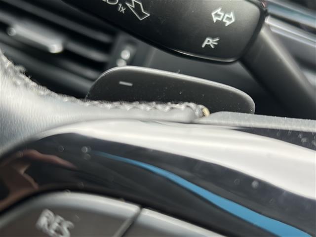 ポロ TSIハイライン /プッシュスタート/スマートキー/純正ナビ/フルセグTV/MSV/BTオーディオ/DVD/バーチャルコックピット/ACC/パドルシフト/パーキングアシスト/前後ドライブレコーダー(15枚目)