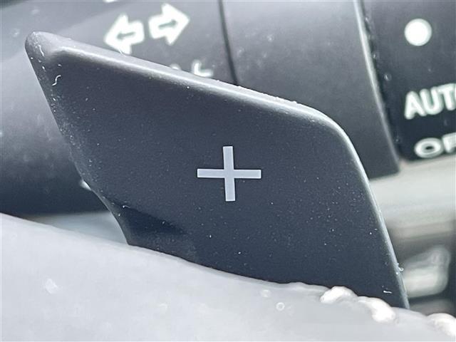 フォレスター アドバンス　純正Ｄ　ｏｐナビ　フルセグ　ＢＴ　ＣＤ／ＤＶＤ／ＢＤ　バック、左サイド、フロントカメラ　デジタルインナーミラー　アイサイト　パワーＢドア　純正ＡＷ付冬タイヤ　ＥＴＣ　全席シートヒーター　ルーフレール（11枚目）