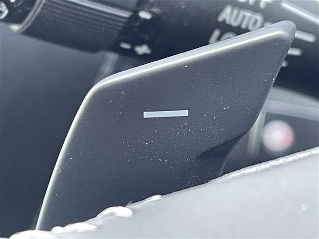 フォレスター アドバンス　純正Ｄ　ｏｐナビ　フルセグ　ＢＴ　ＣＤ／ＤＶＤ／ＢＤ　バック、左サイド、フロントカメラ　デジタルインナーミラー　アイサイト　パワーＢドア　純正ＡＷ付冬タイヤ　ＥＴＣ　全席シートヒーター　ルーフレール（12枚目）