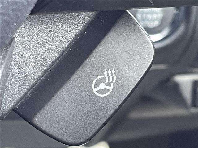 フォレスター アドバンス　純正Ｄ　ｏｐナビ　フルセグ　ＢＴ　ＣＤ／ＤＶＤ／ＢＤ　バック、左サイド、フロントカメラ　デジタルインナーミラー　アイサイト　パワーＢドア　純正ＡＷ付冬タイヤ　ＥＴＣ　全席シートヒーター　ルーフレール（18枚目）