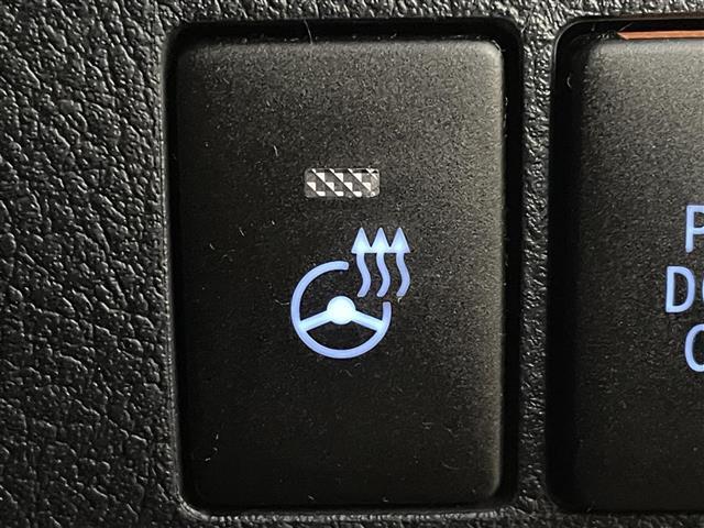 アルファード 2.5S Cパッケージ 純正9インチナビ ツインムーンルーフ フリップダウンモニター デジタルインナーミラー 両側パワースライドドア ETC 電動リアゲート オットマン バックカメラ 追従有クルーズコントロール シートヒータ(24枚目)