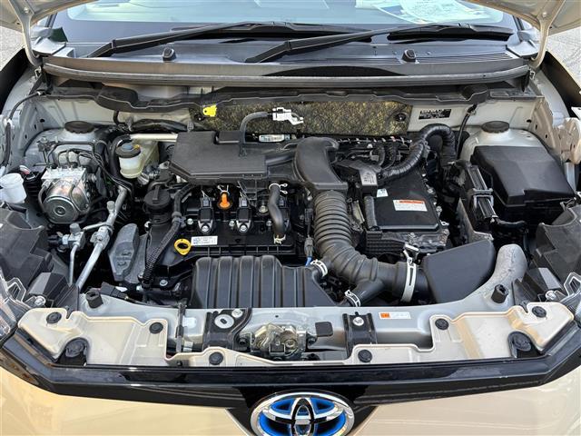 ライズ Ｇ　純正ナビ　アラウンドビューモニター　ＥＴＣ　衝突軽減ブレーキ　フルセグＴＶ　ＢＴ　ＵＳＢ　電格ミラー　オートライト　オートハイビーム　ＬＥＤヘッドライト　純正ドアバイザー　プッシュスタート（40枚目）