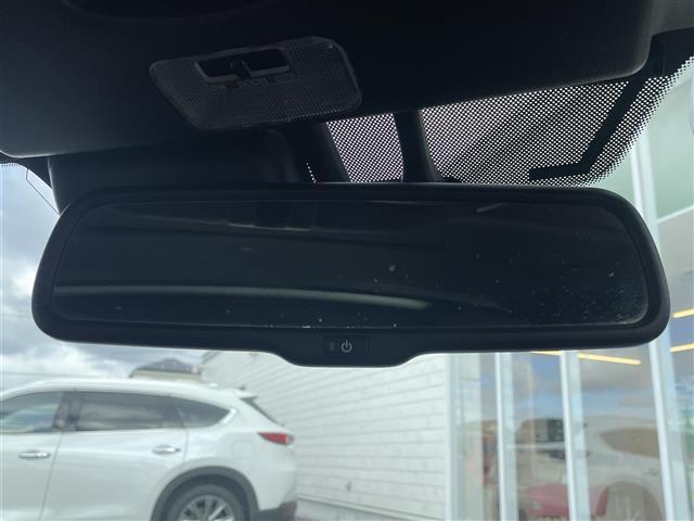 ���[���~���[