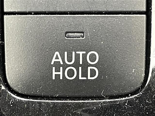 セレナ ハイウェイスターV 純正SDナビ フリップダウン(社外) 両側パワースライドドア フルセグTV Bluetoothオーディオ CD/DVD バックカメラ プロパイロット エマージェンシーブレーキ ステリングリモコン(20枚目)