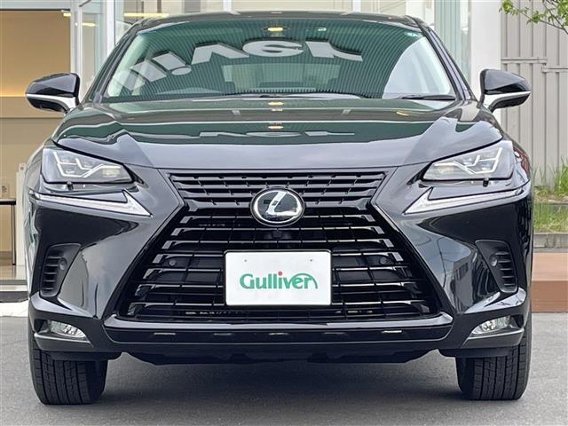 ＮＸ ＮＸ３００ｈ　Ｉパッケージ　サイドカメラ・レザーシート・パワーシート・ブラインドスポットモニター・パワーバックドア・クルーズコントロール・コーナーセンサー・レーンキープアシスト・純正エンジンスターター・パドルシフト・ＥＴＣ（12枚目）