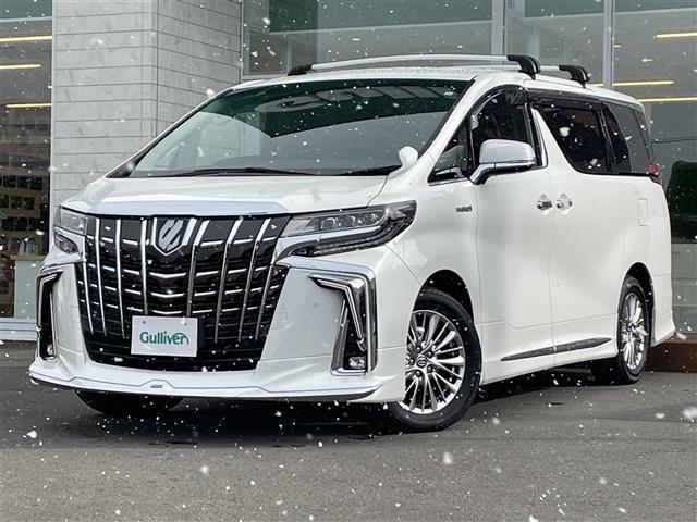 アルファードハイブリッド ＳＲ　衝突軽減ブレーキ・純正ナビ（ＢＴ＆ＵＳＢ＆フルセグＴＶ）・バックカメラ・両側パワースライドドア・パワーバックドア・フリップダウンモニター・エアロパーツ（フロント、サイド、リアアンダー）・レザーシート（16枚目）