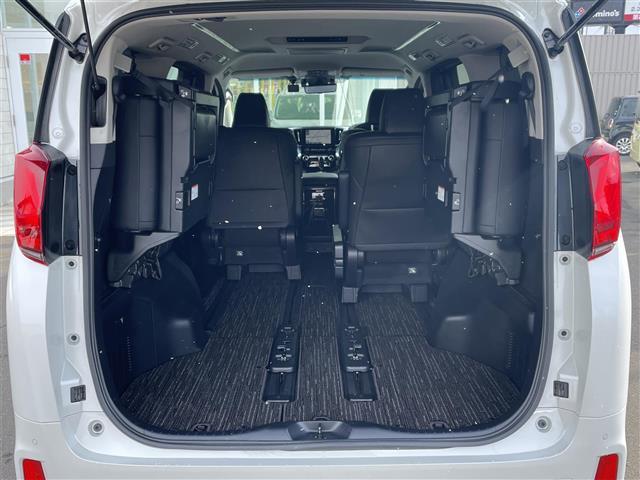 アルファードハイブリッド ＳＲ　衝突軽減ブレーキ・純正ナビ（ＢＴ＆ＵＳＢ＆フルセグＴＶ）・バックカメラ・両側パワースライドドア・パワーバックドア・フリップダウンモニター・エアロパーツ（フロント、サイド、リアアンダー）・レザーシート（32枚目）