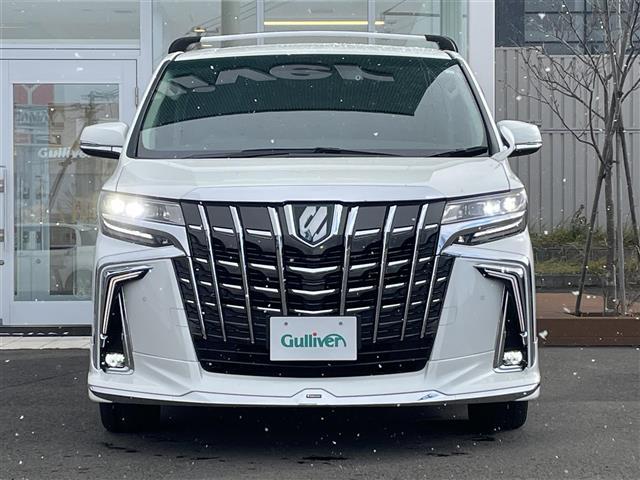 アルファードハイブリッド ＳＲ　衝突軽減ブレーキ・純正ナビ（ＢＴ＆ＵＳＢ＆フルセグＴＶ）・バックカメラ・両側パワースライドドア・パワーバックドア・フリップダウンモニター・エアロパーツ（フロント、サイド、リアアンダー）・レザーシート（33枚目）