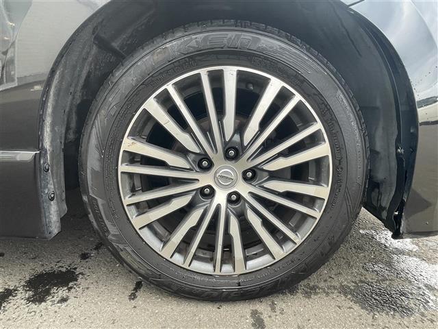 エルグランド ２５０ハイウェイスター　・ＳＤ・ＡＭ・ＦＭ・ＵＳＢ・ＡＵＸ・バックカメラ・両側パワースライドドア・後席用モニター・ドライブレコーダー（前後）・横滑り防止装置・クルーズコントロール・オットマン・ダブルエアコン・ビルトインＥＴＣ（13枚目）