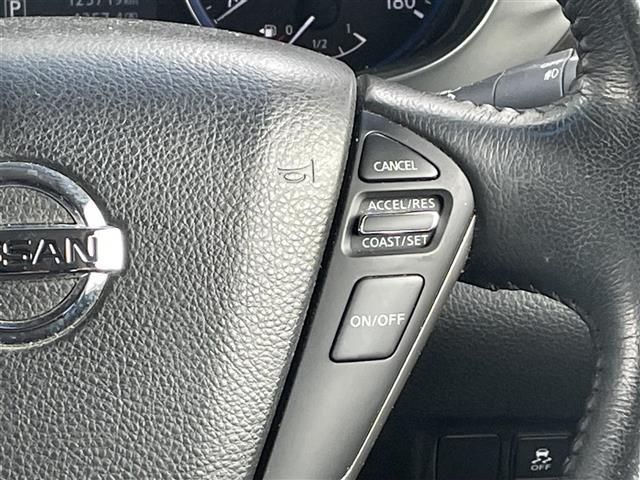 エルグランド ２５０ハイウェイスター　・ＳＤ・ＡＭ・ＦＭ・ＵＳＢ・ＡＵＸ・バックカメラ・両側パワースライドドア・後席用モニター・ドライブレコーダー（前後）・横滑り防止装置・クルーズコントロール・オットマン・ダブルエアコン・ビルトインＥＴＣ（19枚目）