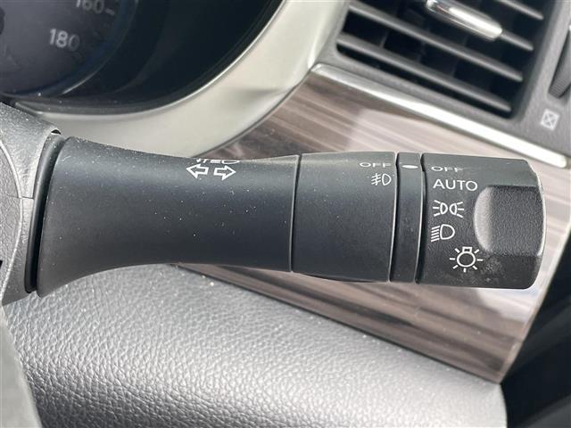 エルグランド ２５０ハイウェイスター　・ＳＤ・ＡＭ・ＦＭ・ＵＳＢ・ＡＵＸ・バックカメラ・両側パワースライドドア・後席用モニター・ドライブレコーダー（前後）・横滑り防止装置・クルーズコントロール・オットマン・ダブルエアコン・ビルトインＥＴＣ（20枚目）