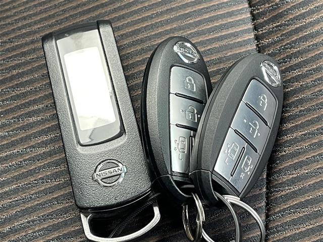 エルグランド ２５０ハイウェイスター　・ＳＤ・ＡＭ・ＦＭ・ＵＳＢ・ＡＵＸ・バックカメラ・両側パワースライドドア・後席用モニター・ドライブレコーダー（前後）・横滑り防止装置・クルーズコントロール・オットマン・ダブルエアコン・ビルトインＥＴＣ（25枚目）