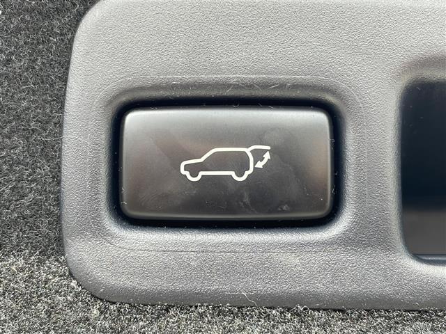ハリアー プレミアム　４ＷＤ　ＪＢＬプレミアムサウンド　メーカーナビ　フルセグ　バックカメラ　合皮コンビシート　運転席パワーシート　パワーバックドア　クルーズコントロール　レーンディパーチャーアラート　オートハイビーム（31枚目）