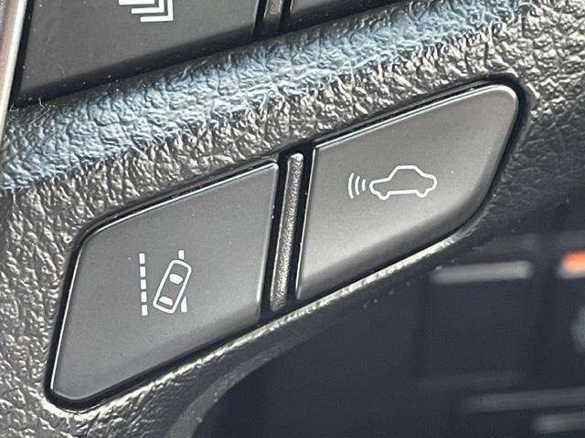 アルファード 2.5S タイプゴールド 純正ナビ 衝突軽減システム 両側パワースライドドア デジタルインナーミラー 前後ドライブレコーダー パワーバックドア バックカメラ クルーズコントロール ETC コーナーセンサー前後 LEDライト(10枚目)