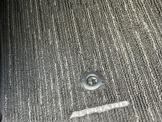 アルファード 2.5S タイプゴールド 純正ナビ 衝突軽減システム 両側パワースライドドア デジタルインナーミラー 前後ドライブレコーダー パワーバックドア バックカメラ クルーズコントロール ETC コーナーセンサー前後 LEDライト(22枚目)