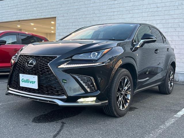 NX NX300 クール&ブライト 純正ナビ バックカメラ ブラインドスポットモニター レーンキープアシスト コーナーセンサー プリクラッシュセーフティ ACC レザーシート パワーシート シートヒーター シートエアコン 電動リアゲート(18枚目)