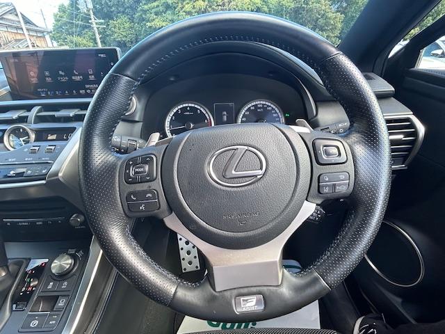 NX NX300 クール&ブライト 純正ナビ バックカメラ ブラインドスポットモニター レーンキープアシスト コーナーセンサー プリクラッシュセーフティ ACC レザーシート パワーシート シートヒーター シートエアコン 電動リアゲート(29枚目)