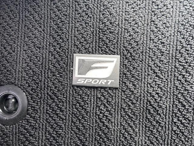 NX NX300 クール&ブライト 純正ナビ バックカメラ ブラインドスポットモニター レーンキープアシスト コーナーセンサー プリクラッシュセーフティ ACC レザーシート パワーシート シートヒーター シートエアコン 電動リアゲート(42枚目)